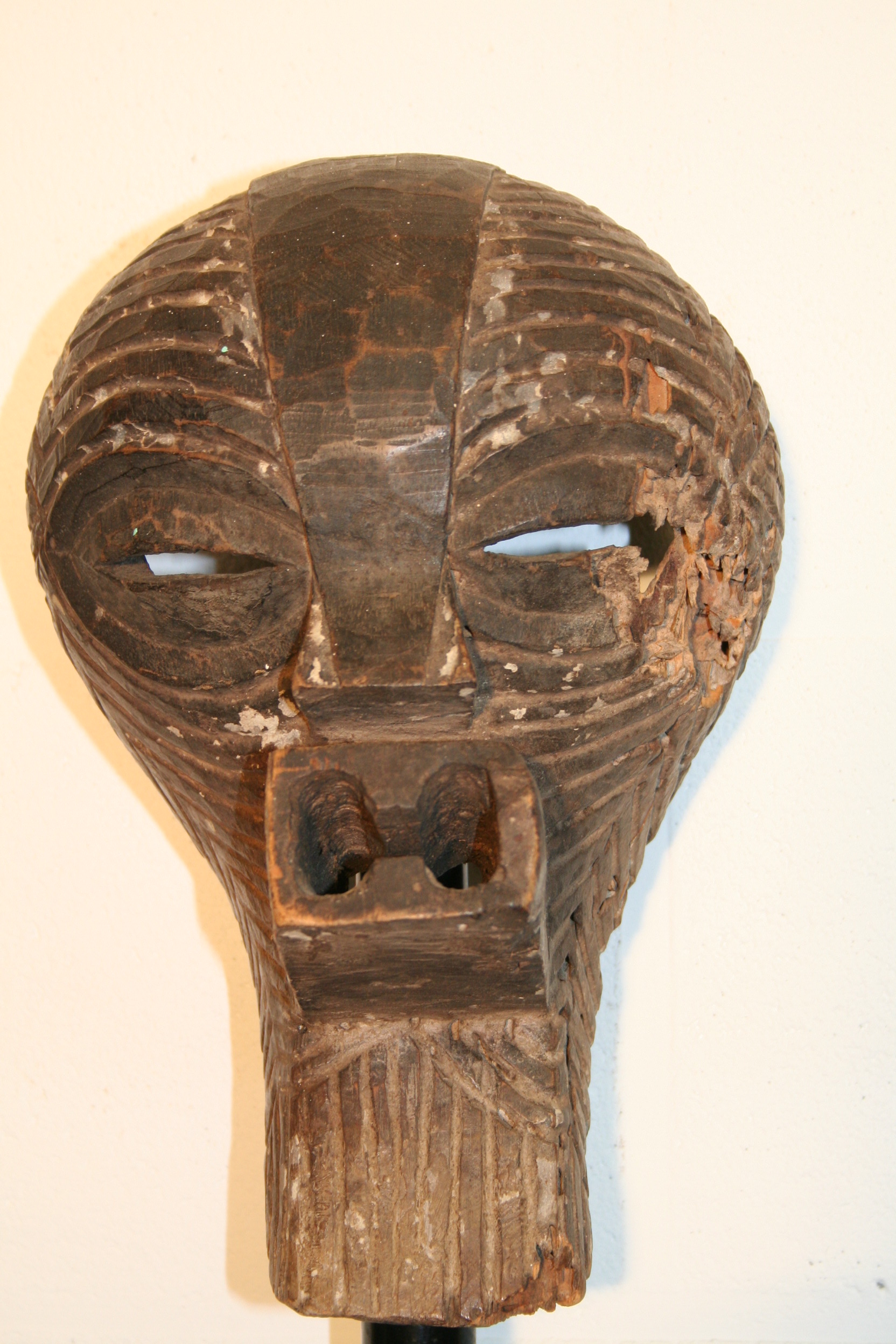songye(masque), d`afrique : R.d.du congo, statuette songye(masque), masque ancien africain songye(masque), art du R.d.du congo - Art Africain, collection privées Belgique. Statue africaine de la tribu des songye(masque), provenant du R.d.du congo, 1631 Vieux petit masque Songye h.25cm.son côté gauche abimé par les thermites.

OUD SONGE MASKERTJE.H;25CM;. art,culture,masque,statue,statuette,pot,ivoire,exposition,expo,masque original,masques,statues,statuettes,pots,expositions,expo,masques originaux,collectionneur d`art,art africain,culture africaine,masque africain,statue africaine,statuette africaine,pot africain,ivoire africain,exposition africain,expo africain,masque origina africainl,masques africains,statues africaines,statuettes africaines,pots africains,expositions africaines,expo africaines,masques originaux  africains,collectionneur d`art africain
